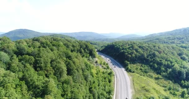 Luftaufnahme - grüner Wald, Autobahn und Autos. — Stockvideo