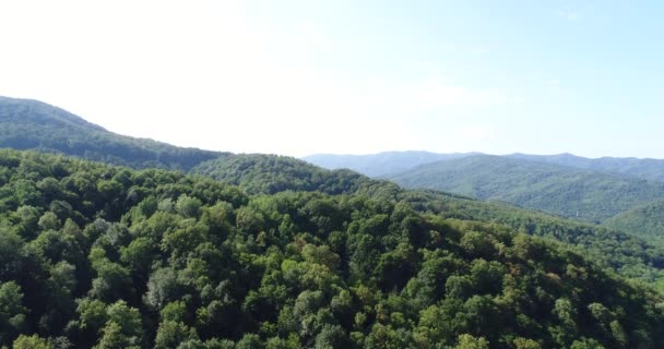 Hermosas colinas verdes, montañas y bosques . — Vídeo de stock
