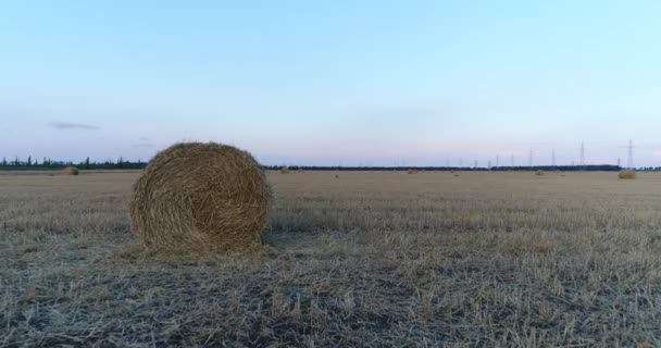 田野里的干草堆, 空气中的景色. — 图库视频影像