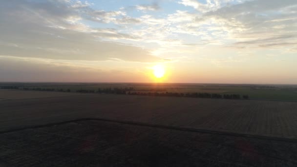 Zonsondergang of zonsopgang in het veld. — Stockvideo
