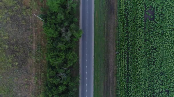 Αεροφωτογραφία - επαρχιακό δρόμο και τα αυτοκίνητα. Διαδρομή, τον αυτοκινητόδρομο και δρόμο στο πεδίο. — Αρχείο Βίντεο