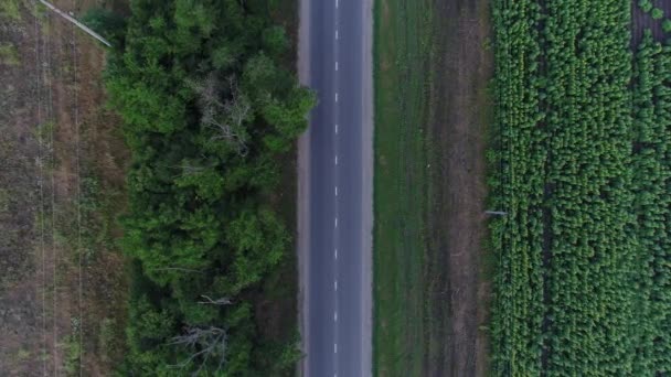 Anténa - venkovské silnici a auta. Trasa, dálnice a silnice v poli. — Stock video