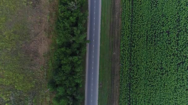 Vedere aeriană - rutier de țară și mașini . — Videoclip de stoc