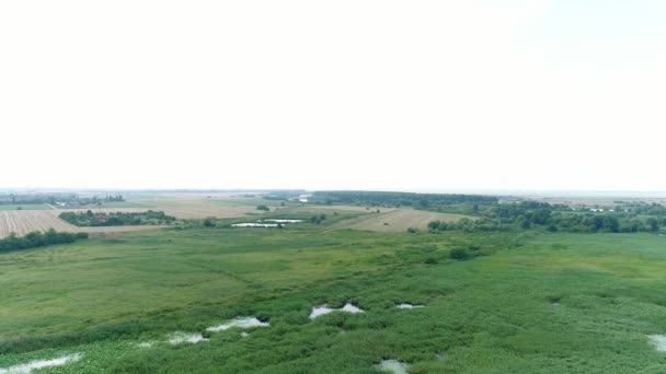 Luchtfoto - groen veld, weide bos en boerderij. — Stockvideo