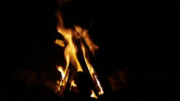 Vreugdevuur brandwonden in het donker. — Stockvideo