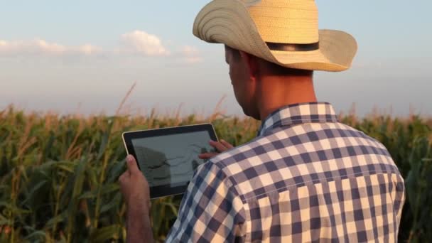 Ο άνθρωπος αγρότης με υπολογιστή tablet στο πεδίο — Αρχείο Βίντεο