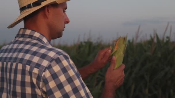 Mladý muž farmář v poli. — Stock video