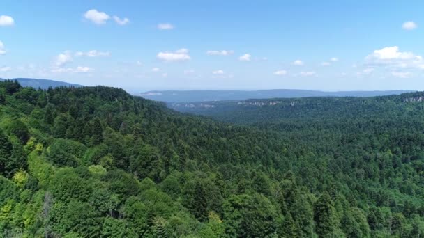 Légi fotózás, zöld erdő és fák. Zöld hegyek és kék ég. — Stock videók