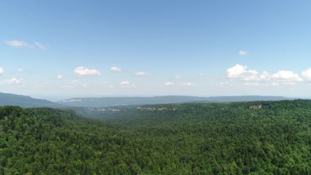 Aérien - forêt verte et arbres. Collines vertes et ciel bleu . — Video