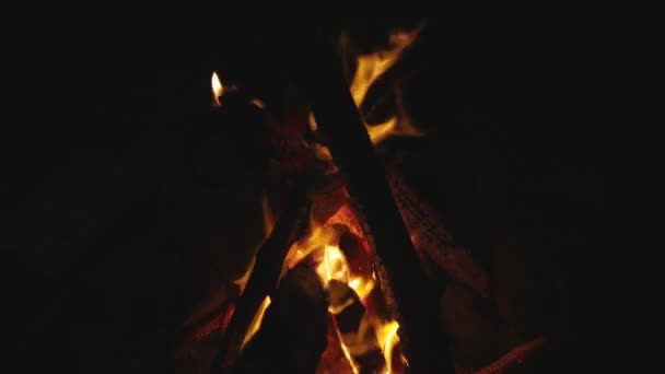 Um belo fogo arde no escuro. Faíscas, fogo e chamas . — Vídeo de Stock