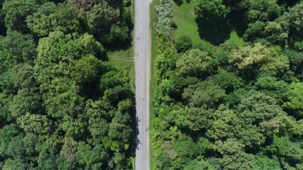 Vista aérea, bosque verde y carretera rural. Carretera vacía y árboles . — Vídeo de stock