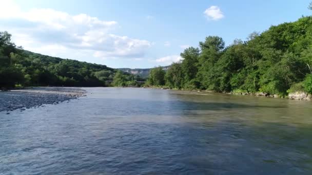 Flight over the river. Green forest and river. — Stock Video