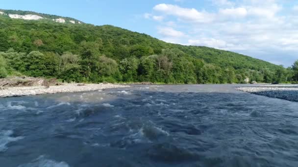 Hermoso río de montaña y bosque verde . — Vídeo de stock