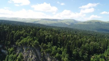 Havadan görünümü - yeşil orman, hills, güzellikler yaban hayatı.
