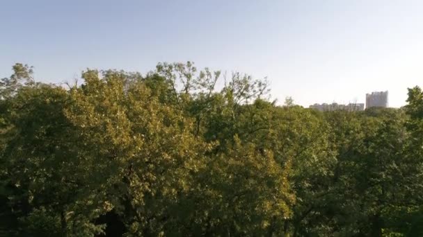 Parque da cidade e edifícios. Fotografia aérea, árvores e paisagem urbana . — Vídeo de Stock