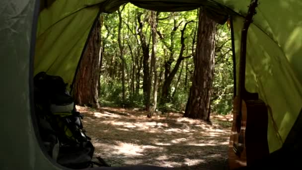 Вид из туристической палатки - лес и деревья . — стоковое видео