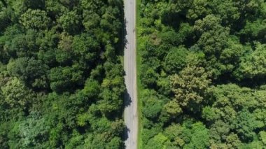 Havadan görünümü, ormanın ortasında Otoban.