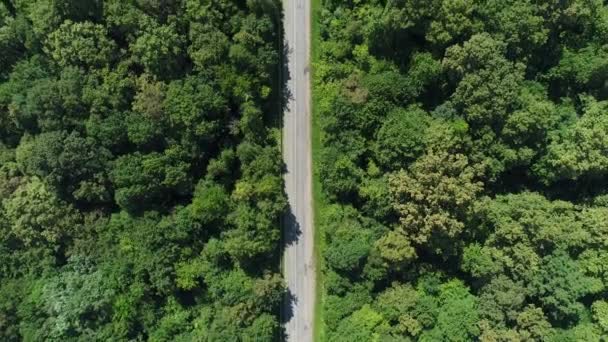 Vista aérea, autopista en medio del bosque . — Vídeo de stock