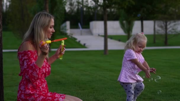 Mãe e bebê soprar bolhas de sabão no parque . — Vídeo de Stock