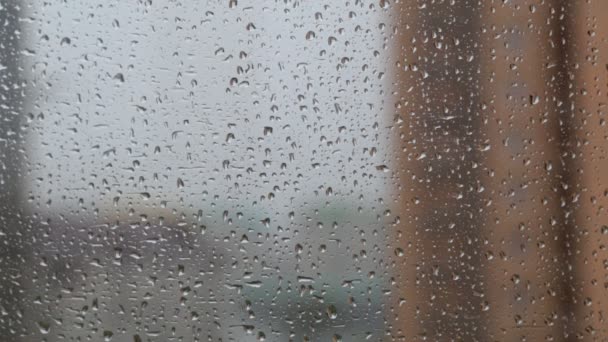 Gotas de lluvia en el vaso. Fondo gris otoño . — Vídeo de stock