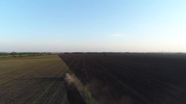 Трактор в поле вспахивает землю . — стоковое видео