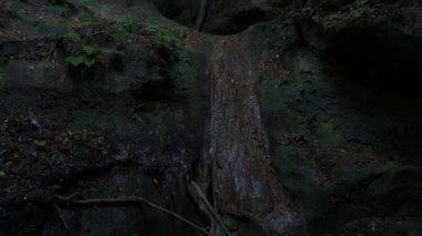 Büyük karanlık mağaranın. Ormanda mağara.
