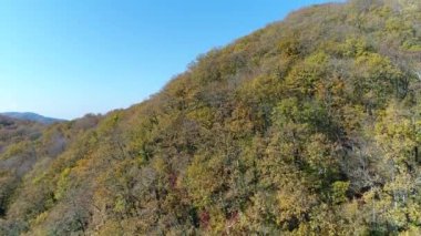 Havadan görünümü, sonbahar orman ve tepeler.