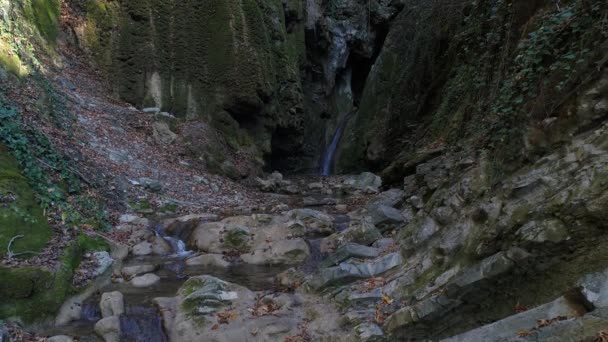 Montanhas, floresta e bela cachoeira . — Vídeo de Stock