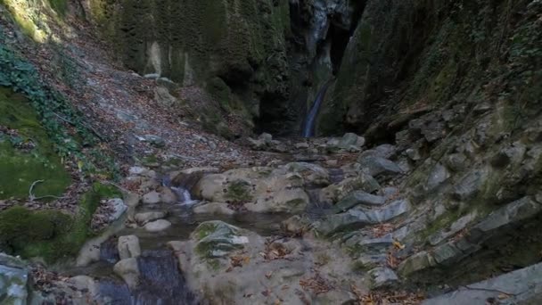 Bergen, stream, herfst bos en prachtige waterval. — Stockvideo
