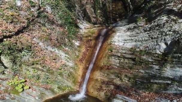 Φθινοπωρινό δάσος, πανέμορφο καταρράκτη εκβάλλει στη λίμνη. — Αρχείο Βίντεο