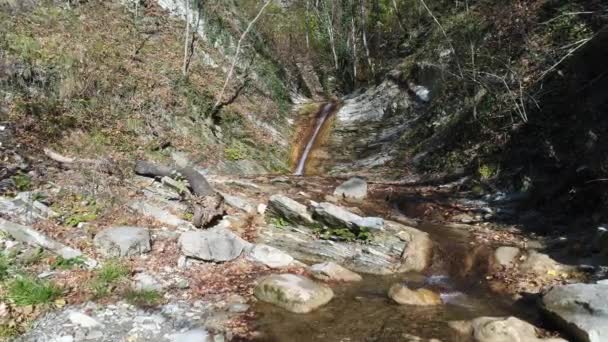 Ліс, гірський потік і водоспад тече в озеро . — стокове відео