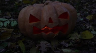 Korkutucu Kabak, sonbahar tatil Cadılar Bayramı sembolü.