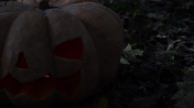 Korkutucu Kabak, sonbahar tatil Cadılar Bayramı sembolü. Jack fener.