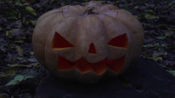 Jack-o-lantern pumpa Halloween semester, en läskig pumpa. — Stockvideo