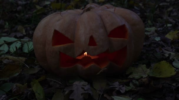 Страшный тыквенный символ праздника Хэллоуин. Тыква-фонарь . — стоковое видео