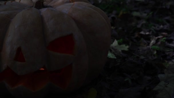 Calabaza de miedo, un símbolo de las vacaciones de otoño de Halloween. Linterna de Jack . — Vídeo de stock