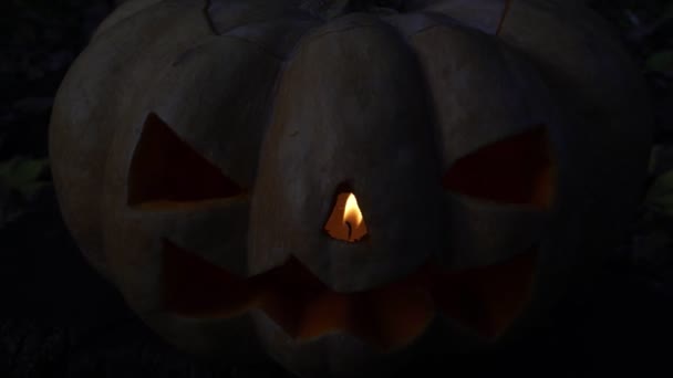 Zucca spaventosa su sfondo scuro, simbolo di Halloween . — Video Stock