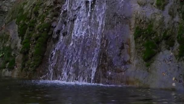 Prachtige tropische waterval, slow-motion. — Stockvideo