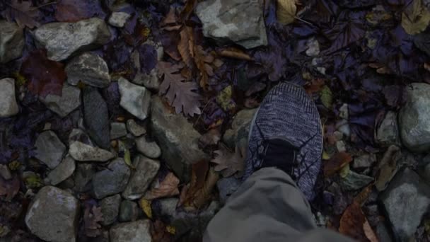 Een man loopt op stenen en bladeren. Wandelen, sneakers close-up. — Stockvideo