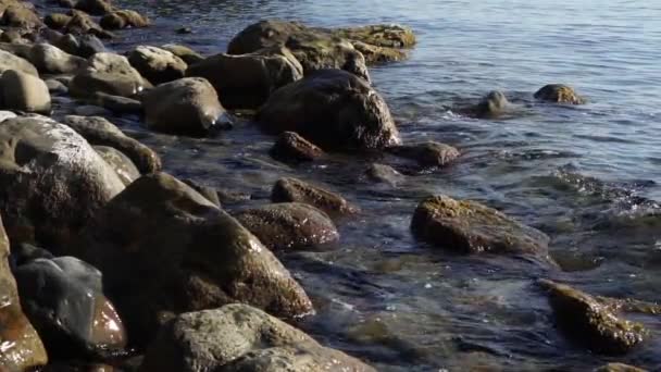 Αργή κίνηση, τα κύματα της θάλασσας και πέτρες στην παραλία. — Αρχείο Βίντεο