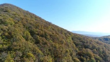 Havadan görünümü, dağlar, tepeler ve sonbahar orman.