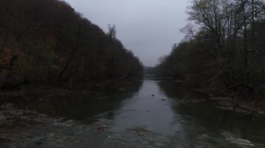 Sonbaharda karanlık nehir. Kasvetli ormanın nehirde.
