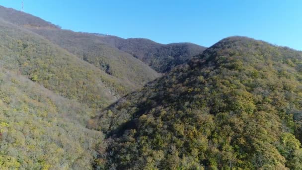 Flygfoto, berg och hösten skogen. — Stockvideo