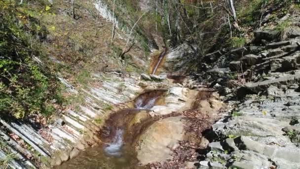 Горный поток и водопад в осеннем лесу . — стоковое видео