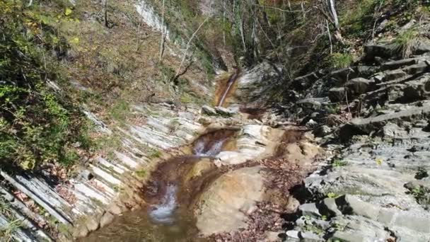 Ruscello di montagna e cascata nella foresta autunnale . — Video Stock