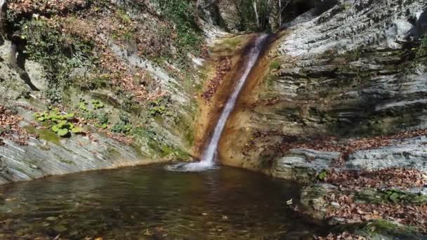 Waterval uitmondt in een meertje in het bos. — Stockvideo