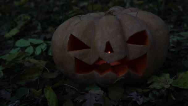 Höstlov Halloween. Skrämmande glödande pumpan. — Stockvideo