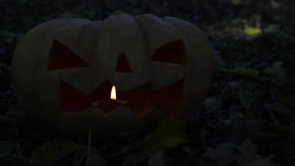 Halloween, calabaza resplandeciente de miedo, linterna de gatos . — Vídeo de stock