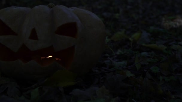 Une sinistre citrouille dans la forêt. Le concept des vacances d'Halloween .