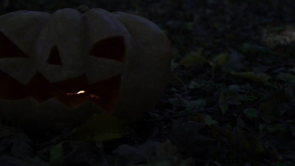 Egy baljós tök az erdőben. A Halloween ünnep fogalmának. — Stock videók